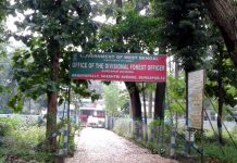 দূষণ রোধে পিয়ালা গ্রামে বনসৃজন