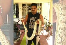 দুর্গাপুরের ডিপিএল এলাকায় পাইথন