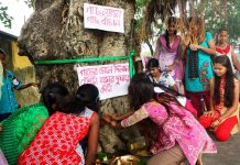 ‘গাছ-ভাই’দের ফোঁটা দিলেন শিল্পাঞ্চলের বোনেরা