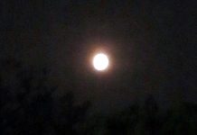 সুপারমুন দেখতে সকলের চোখ আজ আকাশের দিকে