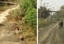 দুর্গাপুরে হাতির হানায় মৃত ১, আহত ৪