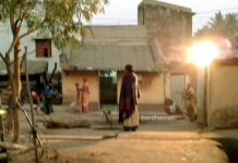 হাতি হামলার পর আতঙ্কে গোপালমাঠের হাঁড়িপাড়া, বিকেল থেকেই হ্যালোজেন বাতি জ্বালিয়ে পাহারা