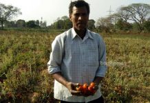 শিল্পের জন্য ফেলে রাখা জমিতে সোনা ফলাচ্ছে দুর্গাপুরের পারদ গ্রামের বাসিন্দারা