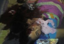 সম্পত্তি নিয়ে কোন্দল, পান্ডবেশ্বরে নাতির হাতে খুন দিদিমা
