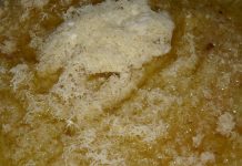 জিআই তকমা প্রাপ্ত সীতাভোগ-মিহিদানার গুণগত মান বজায় রাখতে উদ্যোগ প্রশাসনের