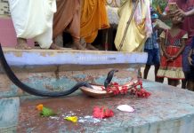 ঘরের আনাচে কানাচে বিচরণ তাঁর, পুজো হল দেবী ঝঙ্কেশ্বরীর, পূর্ব বর্ধমানের সাতটি গ্রামে