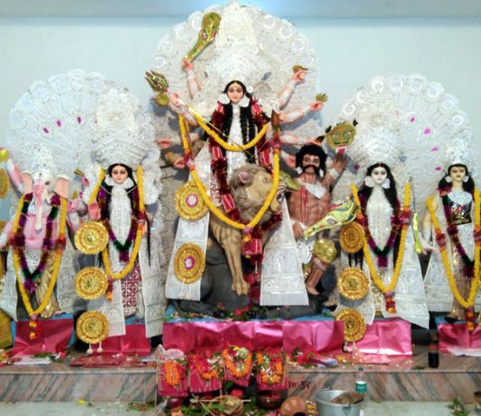 ভিড়িঙ্গী আমবাগান সার্বজনীন