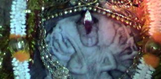 কাঁকসার গড়-জঙ্গলে মা শ্যামারূপা মন্দিরে অষ্টমীর পুণ্য লগ্নে মানুষের ঢল