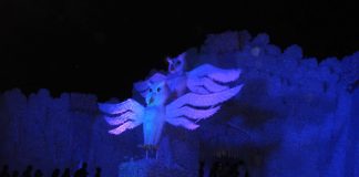 ২ নম্বর শাঁখারিপুকুর সার্বজনীন, বর্ধমান