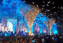 সপ্তমীতে চন্দননগরে জগদ্ধাত্রী পুজোয় দর্শকদের ঢল নামল