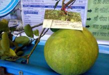 দুর্গাপুর-ফরিদপুর ব্লকের কৃষিমেলায় কৃষিমন্ত্রী