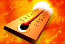 বৃহস্পতিবার থেকে পূর্ব বর্ধমানে সকালে প্রাথমিক স্কুল