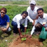 tree-plantation-ukhra2