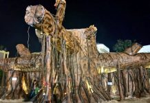 দর্শকদের পাঠানো পুজোর ছবি, ২০১৮