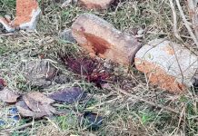 রানিগঞ্জে যুবকের রক্তাক্ত দেহ উদ্ধার, খুনের অভিযোগ