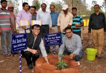 দুর্গাপুরের সিএমইআরআই চত্বরে অর্গানিক ফলের বাগান