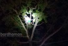 বর্ধমানে গাছে চড়ে বসল যুবক, ৬ ঘন্টা পর নামাল দমকল