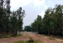 দুশো একর পতিত জমিতে একার হাতে অরণ্য গড়েছেন রাধেশ্যাম