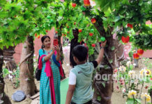 পুজো পরিক্রমা ২০১৯ : শিবাজী সংঘ, বর্ধমান