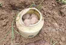 বোমার মশলা উদ্ধারের পর এবার ভাতাড়ে ড্রাম ভর্তি বোমা উদ্ধার