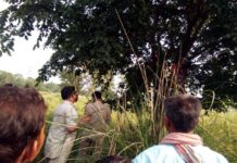 কাঁকসায় গাছ থেকে যুগলের ঝুলন্ত দেহ উদ্ধার