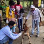 street-dog-vaccine-dgp1