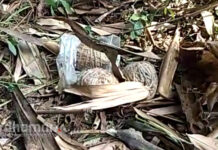 বোমা উদ্ধার ঘিরে চাঞ্চল্য দুর্গাপুরের কমলপুর এলাকায়