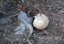 দুর্গাপুরের সেপকো টাউনশিপে উদ্ধার নরকঙ্কাল, চাঞ্চল্য এলাকায়