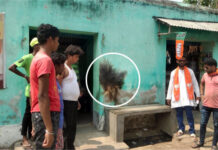পান্ডবেশ্বরে দোকানে বোমাবাজি ঘিরে বিজেপি-তৃণমূল চাপানউতর