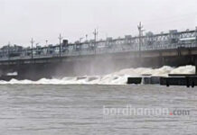 ঝাড়খণ্ডে বৃষ্টি, দুর্গাপুর ব্যারেজ থেকে জল ছাড়া হল