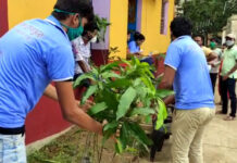 গাছের চারা বিতরণ কালনার স্বেচ্ছাসেবী সংস্থার