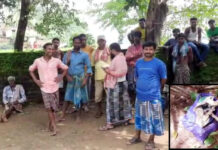 রায়নার মুগুড়া অঞ্চলে ব্যাগভর্তি তাজা বোমা উদ্ধার