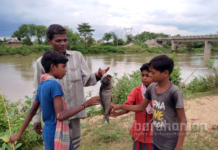 সেচ খালে ভেসে আসছে শয়ে শয়ে মরা রুই-কাতলা