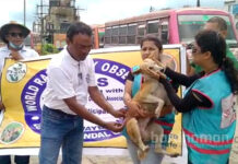 অন্ডালে ২০০ পথ-কুকুরকে আন্টি র্যাবিস ভ্যাকসিন