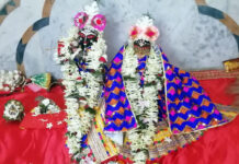মহা ধুমধামে গোপালপুরে পালিত হচ্ছে রাস উৎসব
