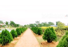 পিকনিক সিজনের আগে সেজে উঠছে সরপি ইকোপার্ক