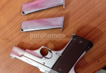 বুদবুদে মাংসের দোকানদারের কাছ থেকে আগ্নেয়াস্ত্র উদ্ধার, ধৃত ২