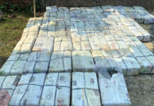 পূর্বস্থলীতে আন্তঃরাজ্য গাঁজা পাচার চক্রের পর্দা ফাঁস, ধৃত ৫