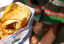 পানাগড়ে চপের মধ্যে মিলল মরা আরশোলা, চাঞ্চল্য