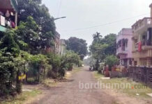 ফের মৌমাছির হানা, দুর্গাপুরের আর্যভট্ট এলাকায় জখম ১১