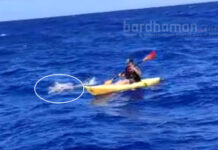 এশিয়ার প্রথম মহিলা সাঁতারু হিসেবে মলোকাই চ্যানেল জয় সায়নীর