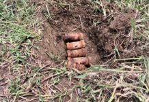 আউশগ্রামে চাষের জমিতে মিলল আরও বোমা