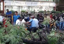 এ-জোনে মাথায় গাছের ডাল ভেঙে পড়ে গুরুতর জখম ১