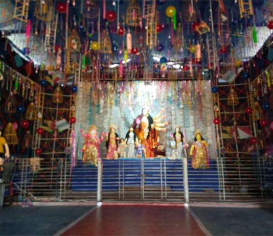 পুজো ২০২২: সি-জোন সর্বজনীন, দুর্গাপুর