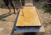 শীত পড়তেই শুরু হয়েছে নলেন গুড় তৈরির কাজ