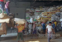 চাষিদের কাছ থেকে প্রথমে ৩০ কুইন্টাল ধান কেনা হবে