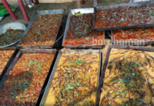 দুর্গাপুরের মৎস্য উৎসবে রান্না হল ১১ ক্যুইন্টাল মাছ