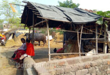 গরুচোর সন্দেহে জামালপুরে গণপিটুনির অভিযোগ, মৃত ২