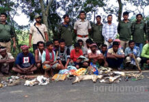 কেতুগ্রামে পাকড়াও ৩০ শিকারী, উদ্ধার প্রায় ২৫০ মৃত বন্যপ্রাণী