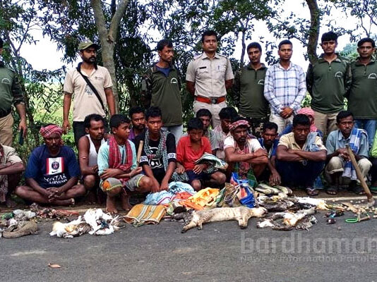 কেতুগ্রামে পাকড়াও ৩০ শিকারী, উদ্ধার প্রায় ২৫০ মৃত বন্যপ্রাণী